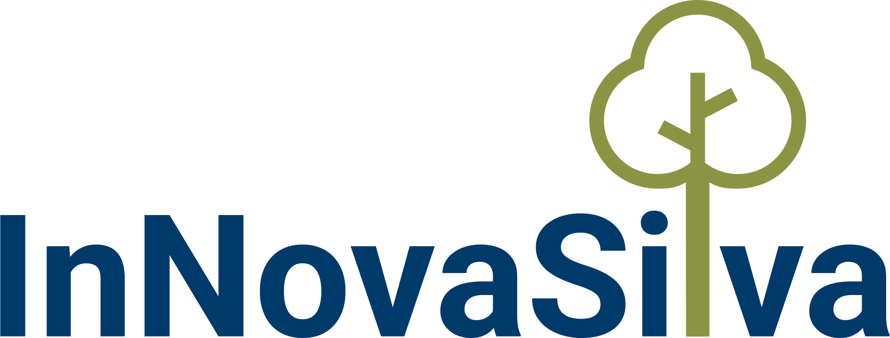 11-InNovaSilva-Logo.png