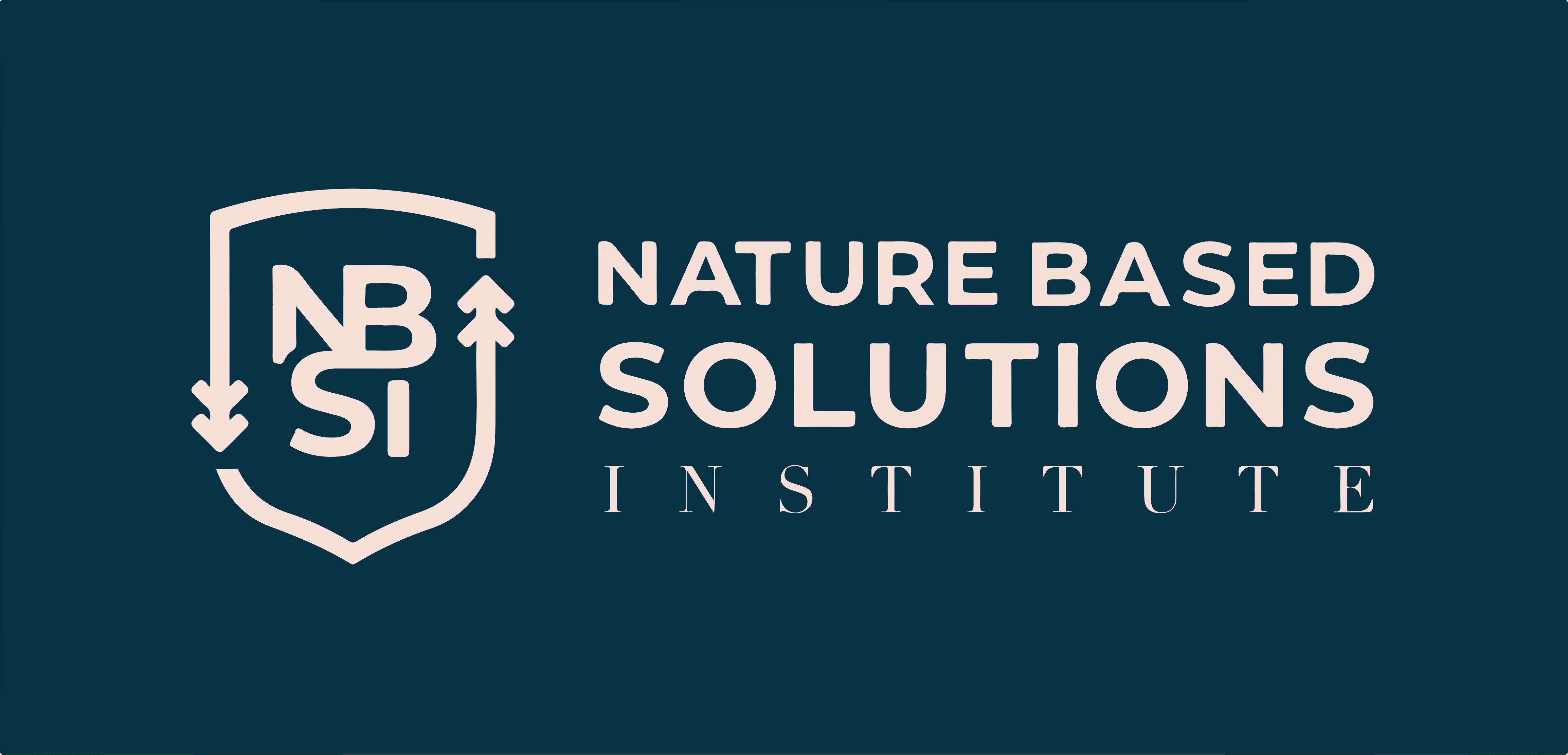 08-NBSI Logo.png