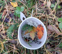 School Kit 3_Let’s explore the nearby forests with our senses School Kit 3_Let’s explore the nearby forests with our senses