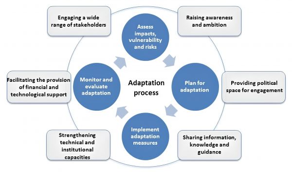 Figure 3_ Adaptation Policy Cycle and support offered under the UN Climate Change regime (UNFCCC, 2024)