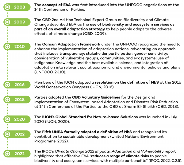Figure 2: Key policy developments of NbS and EbA (Lo et al. 2022, p. 11)