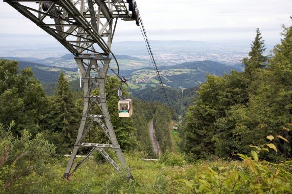 Mountain forest with cable car and Freiburg in the background