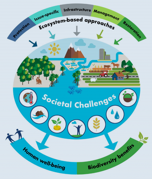 Figure 1: Nature-based solutions (IUCN 2020, p. 1)